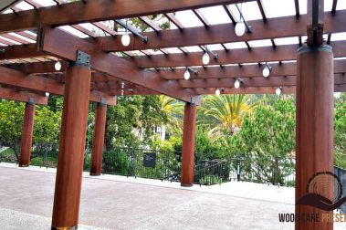 Teak refinshing service
